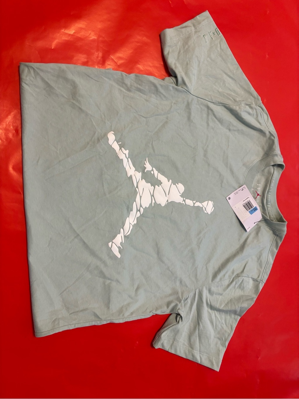 Nike Jordan Men's Mint Green Graphic Tee